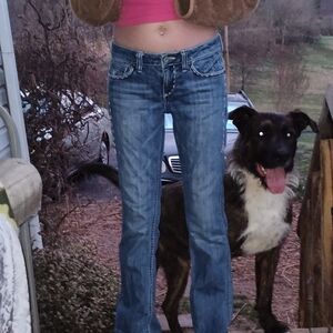 Antik Denim Flare Jeans in Light Blue